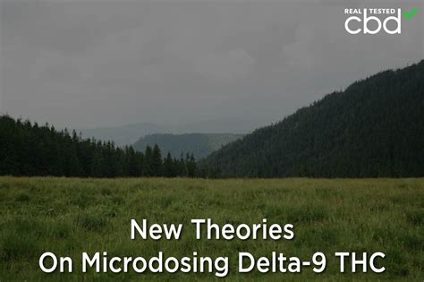 Will A Little THC Ruin My CBD? — New Theories On Microdosing Delta-9 THC